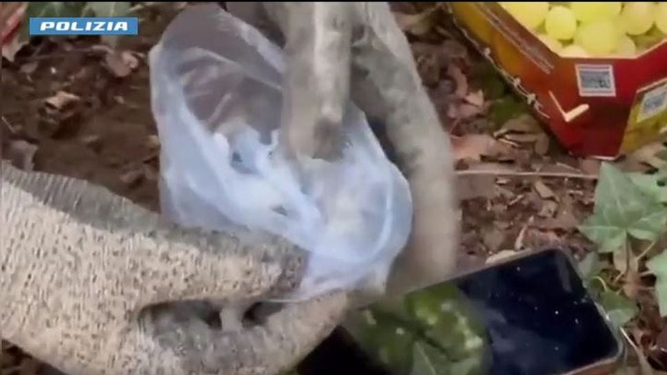 Sequestrati cocaina, hashish, eroina e soldi contanti