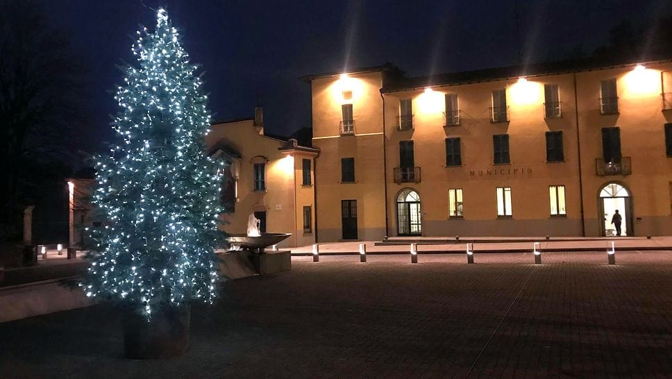 L’abete di quest’anno sarà alto circa sei metri