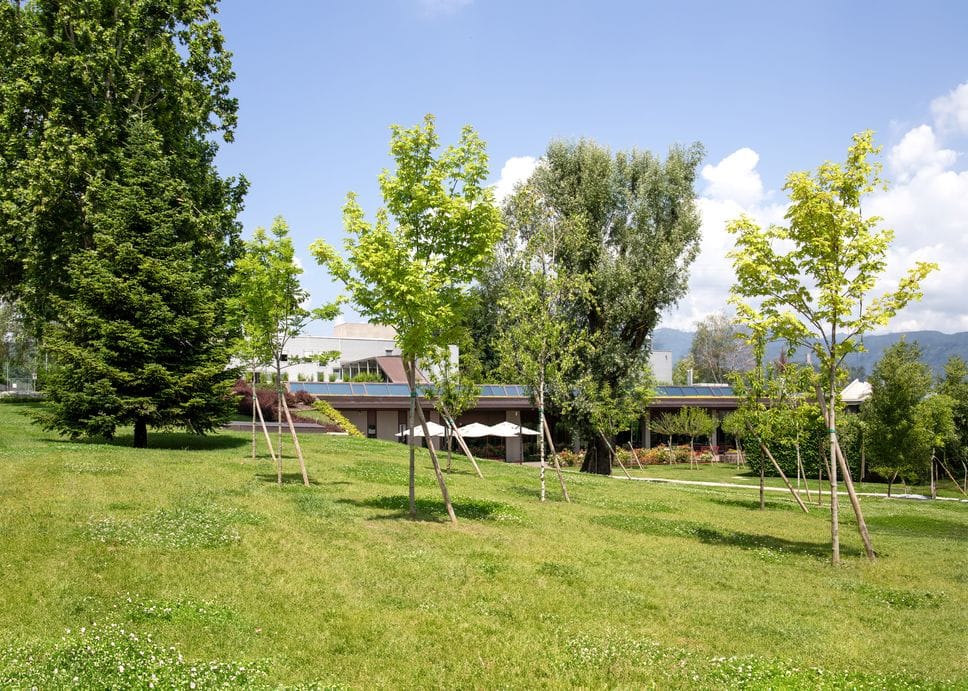 Il verde intorno ai nuovi spazi