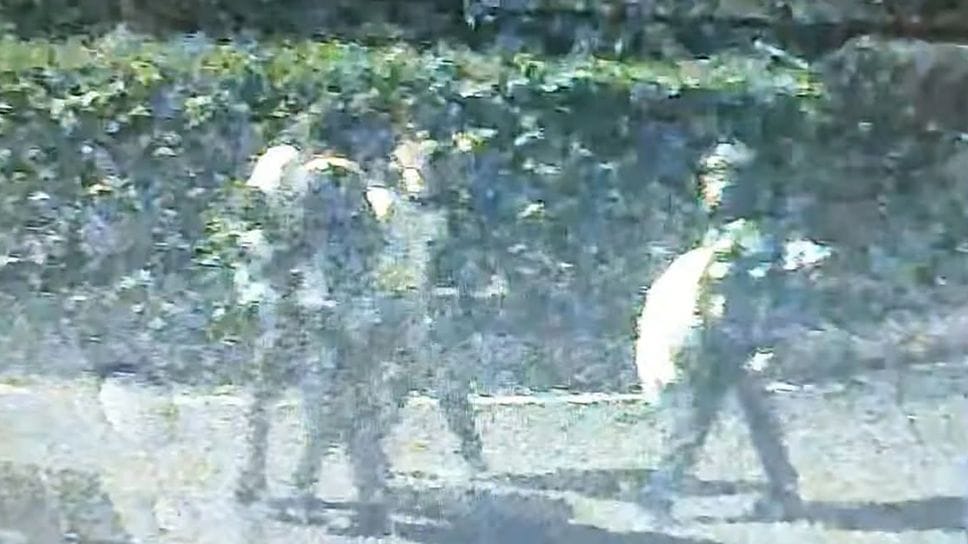 Le immagini delle telecamere, con i quattro sospetti