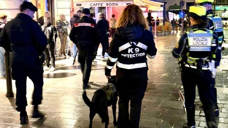 I controlli interforze di polizia locale e carabinieri con il rinforzo delle unità cinofile