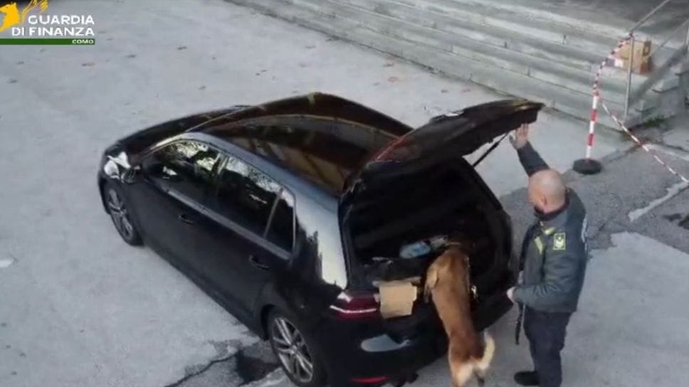 Un cane della Finanza mentre sta perquisendo la vettura sospetta
