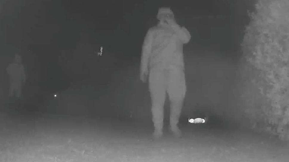 I due ladri immortalati a Ossuccio da una telecamera di sicurezza