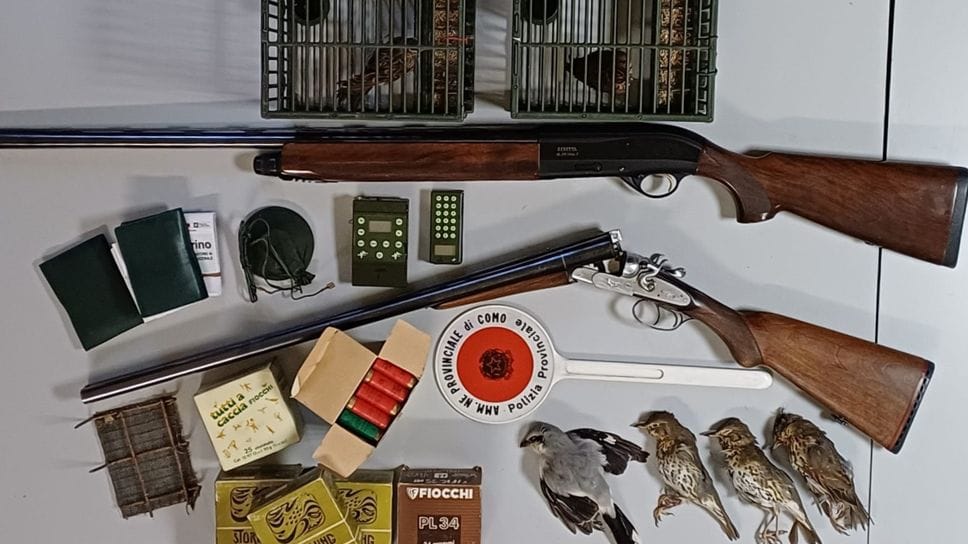 Il materiale che è stato sequestrato dalla Polizia provinciale al bracconiere valtellinese