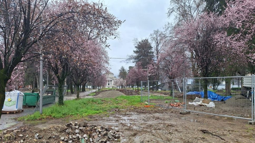 L’ultima fioritura, nel marzo scorso