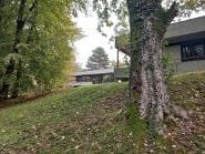 Il giardino in pendenza che circonda la scuola elementare di via Montelungo