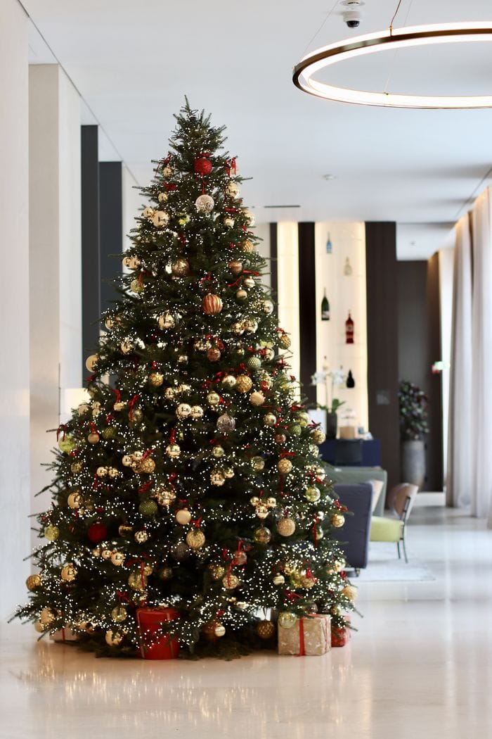 L’albero di Hilton Lake Como