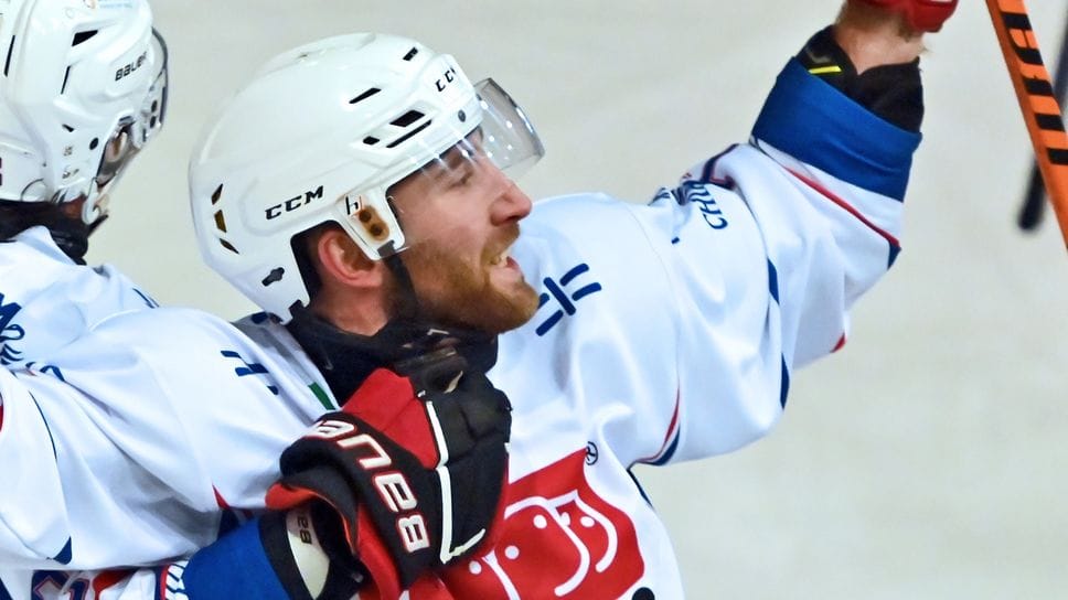 Andrea Pirelli esulta dopo il gol