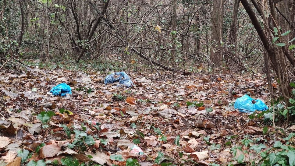 Alcuni dei sacchetti di colore blu con pattume buttati lungo via Carducci