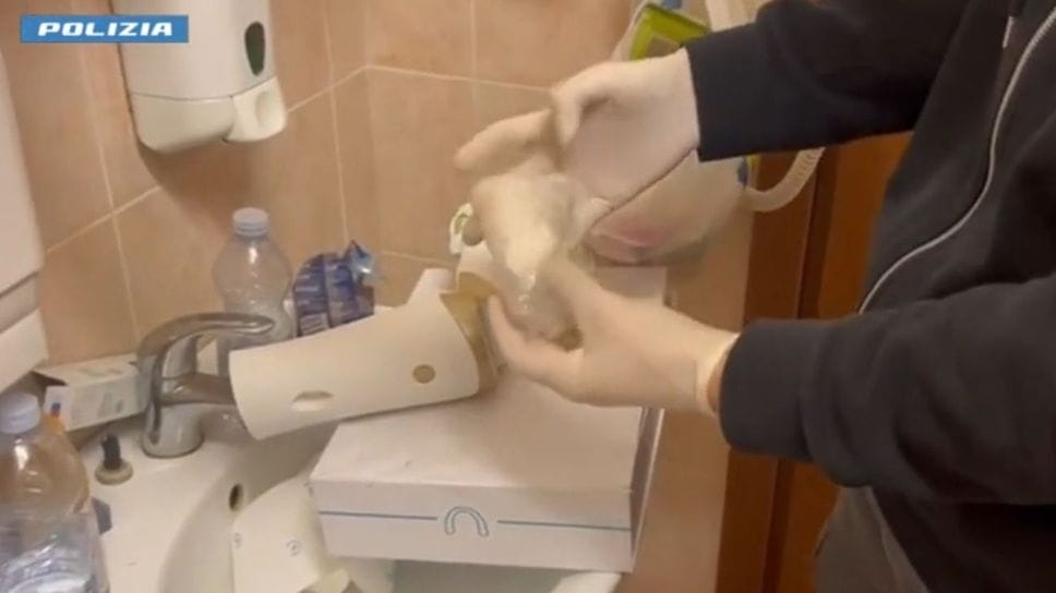 Perquisita anche la camera del B&B di Albavilla dove alloggiava