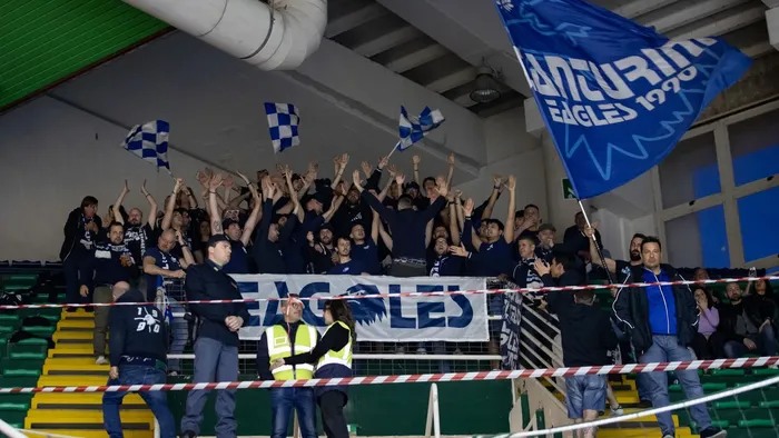 Eagles Win: Avellino Victory & Content Writing Focus