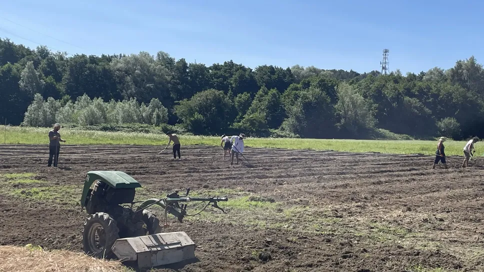 I ragazzi de “Il Gabbiano Odv” sono già al lavoro I ragazzi de “Il Gabbiano Odv” sono già al lavoro