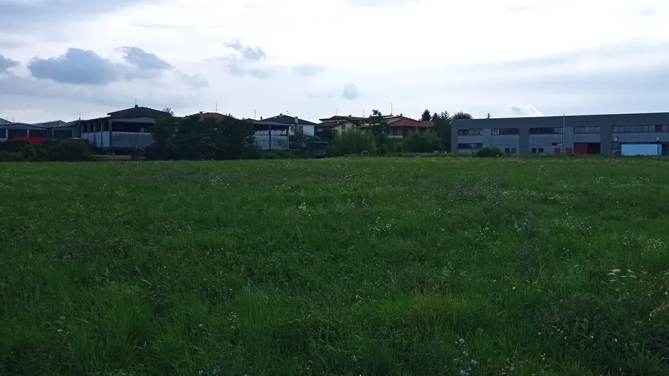 Il prato più ampio è quello che si trova in via Mentana, tra Vighizzolo e Fecchio Il prato più ampio è quello che si trova in via Mentana, tra Vighizzolo e Fecchio