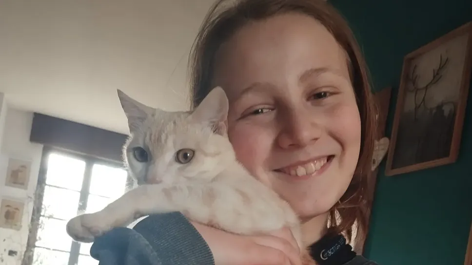 Il gatto Milo era affettuoso con la famiglia