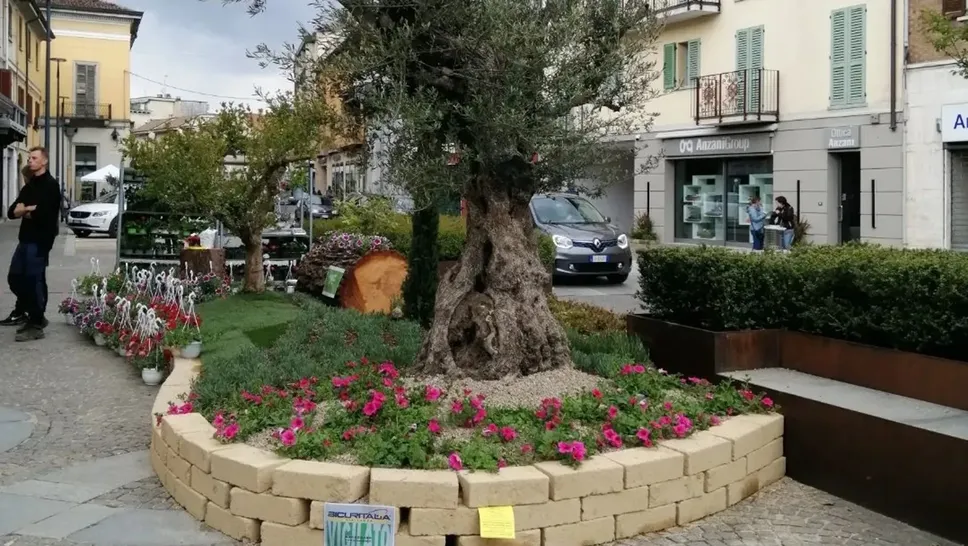 “Mariano in fiore” due anni fa: la kermesse era piaciuta “Mariano in fiore” due anni fa: la kermesse era piaciuta