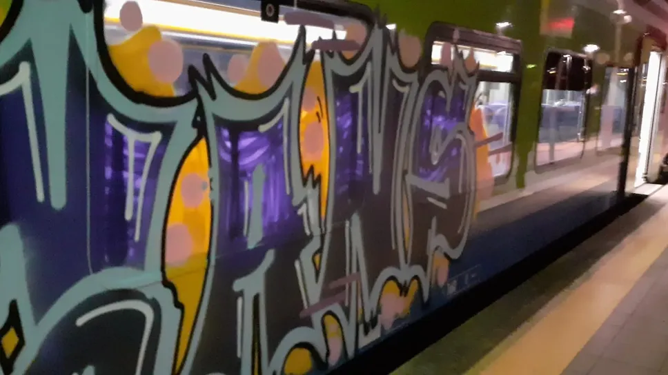 Un vagone di Trenord “impreziosito” dal lavoro di writer Un vagone di Trenord “impreziosito” dal lavoro di writer