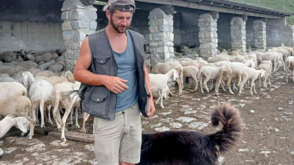 Davide Cagliani con alcune delle sue pecore