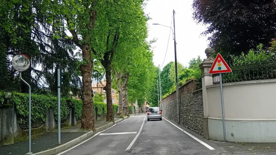 Viale Michelangelo: i platani hanno oltre un secolo di vita