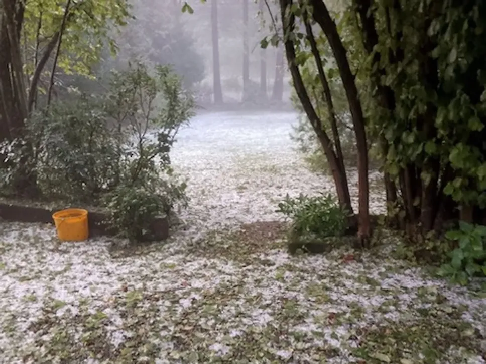 Così a Valmorea sabato mattina