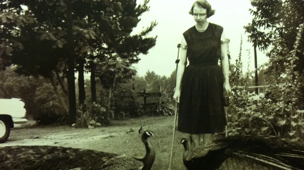 Flannery O’Connor in una fotografia scattata nel 1962, due anni prima della morte Flannery O’Connor in una fotografia scattata nel 1962, due anni prima della morte