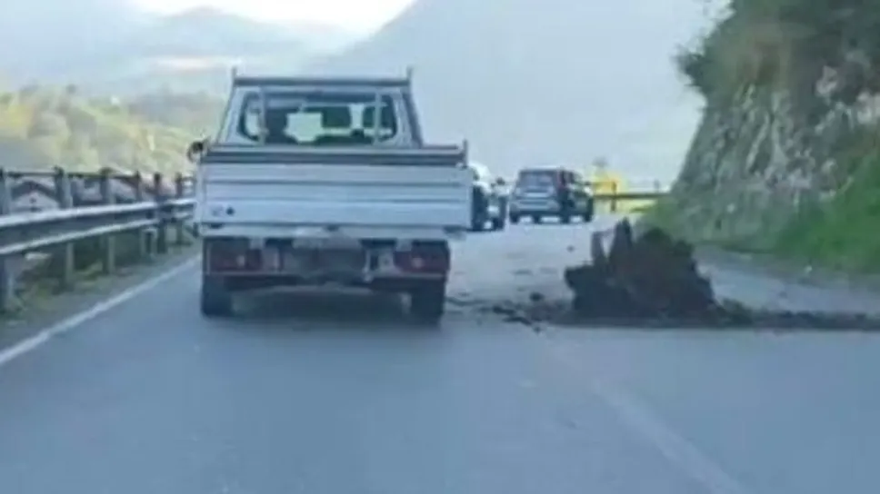 La grossa radice che ha colpito la motociclista di passaggio a Dizzasco La grossa radice che ha colpito la motociclista di passaggio a Dizzasco