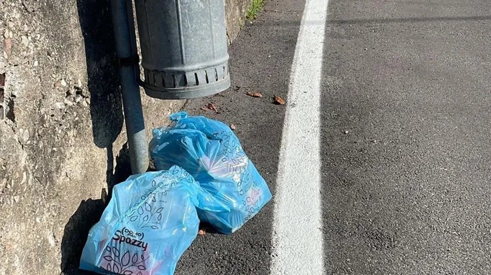 Immondizia nei sacchi ticinesi abbandonata in via Ambrosoli a Ronago