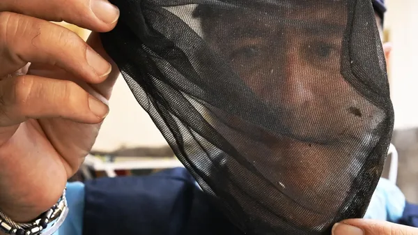 Immagine per 231c1b30-8517-11f0-8156-f189edff8fcf