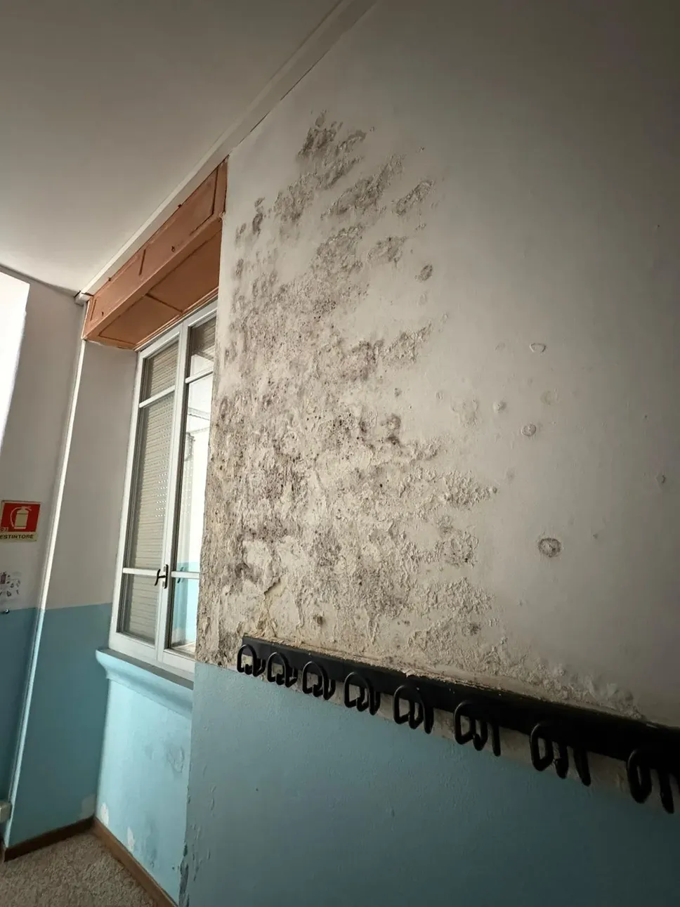 Muri scrostati nell’ala “proibita” di palazzo Carducci