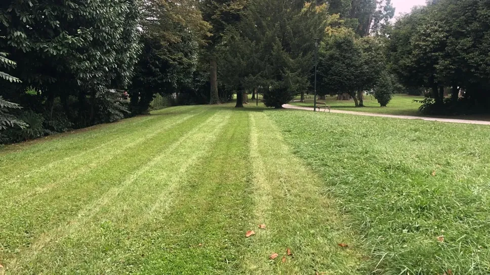L’area del parco di Villa Peduzzi, dove saranno installati gli attrezzi per il fitness L’area del parco di Villa Peduzzi, dove saranno installati gli attrezzi per il fitness