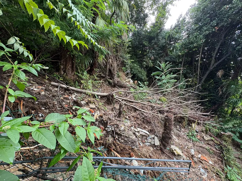 Danni Maltempo zona San Giuliano zona dietro via Casletti scalinata Berlinghieri