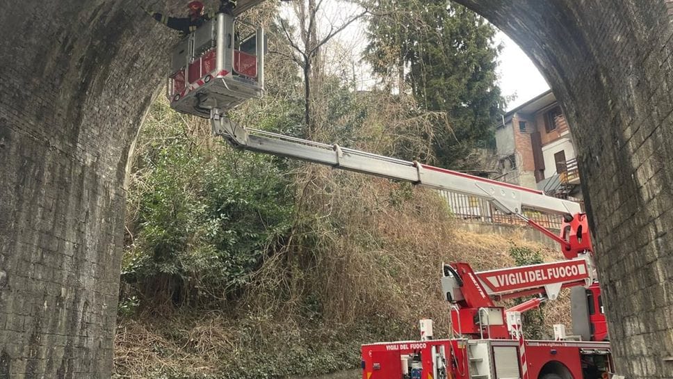 L’intervento dei vigili del fuoco