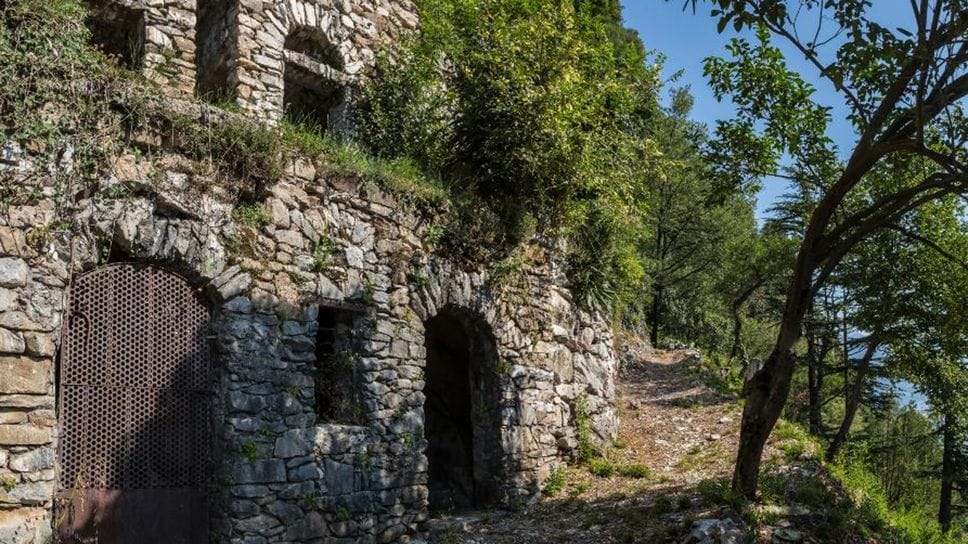 Il Giardino del Merlo a Musso