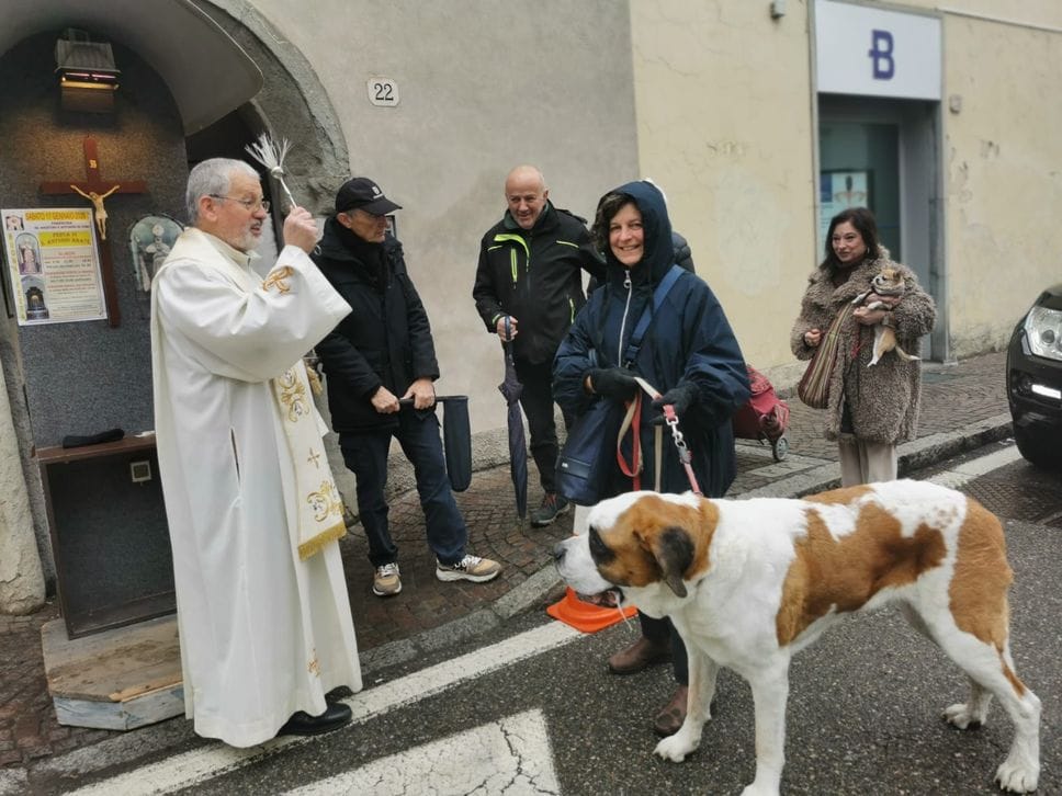 Cani piccoli e grandi ricevono la benedizione