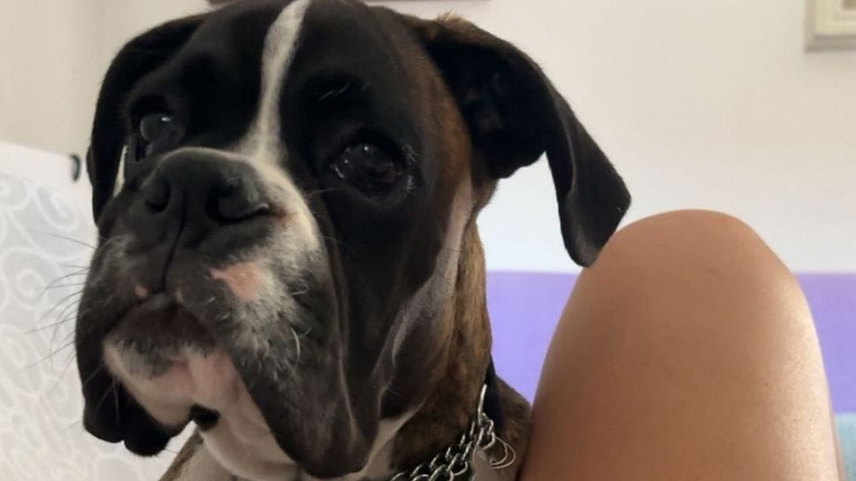 Prince è stato portato via dalla sua casa