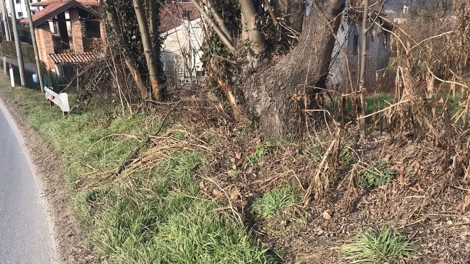 L’ultima vettura ha finito la sua corsa contro una pianta