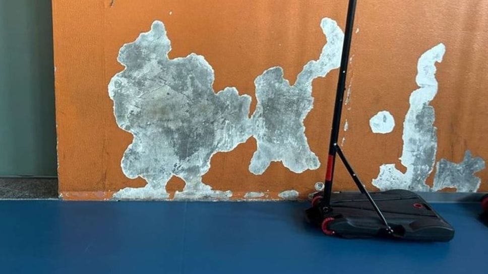 I muri scrostati alla scuola elementare  di Luisago