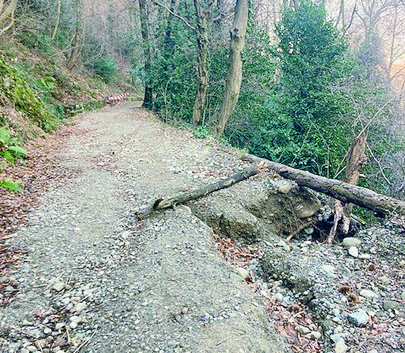 Voragini lungo il sentiero che porta al Baradello