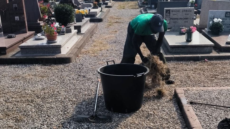 «Le erbacce al cimitero? Stiamo già intervenendo»
