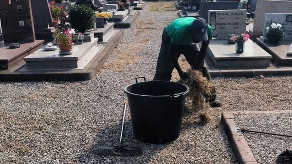 «Le erbacce al cimitero? Stiamo già intervenendo»