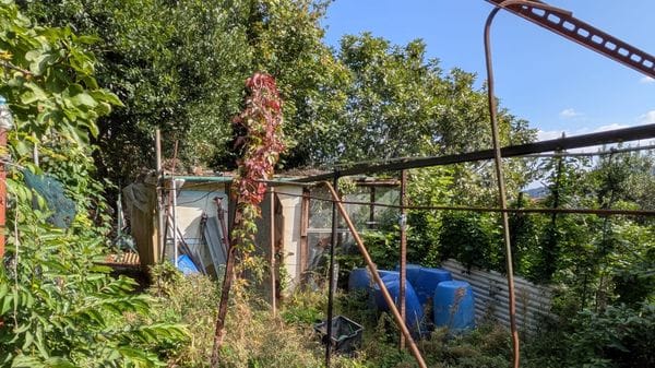 Gli orti di Rebbio ancora nel degrado. Ma il sindaco: «Entro novembre il via ai lavori»
