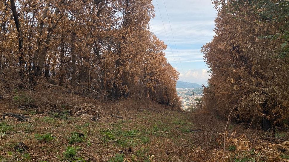 A piedi tra gli spettri del Monte Goj. I lavori entro l’anno