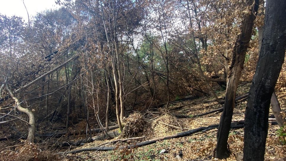 A piedi tra gli spettri del Monte Goj. I lavori entro l’anno