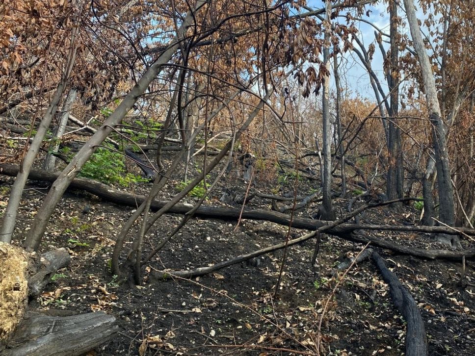 A piedi tra gli spettri del Monte Goj. I lavori entro l’anno