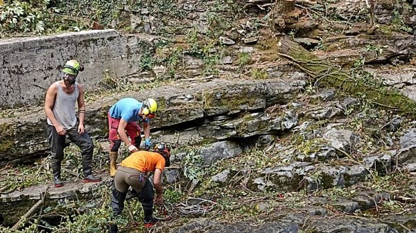 Piante morte nel torrente. Rimosse un centinaio