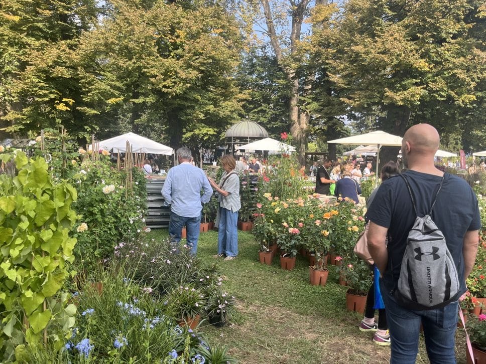 Orticolario, foto e video del venerdì. Premiati Luigi Serafini e “Rosa velata”. Mantero:«Il giardino è il luogo della fantasia»
