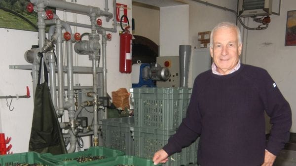 Vanini, avviati i frantoi: «Anno eccezionale per l’olio del nostro lago»