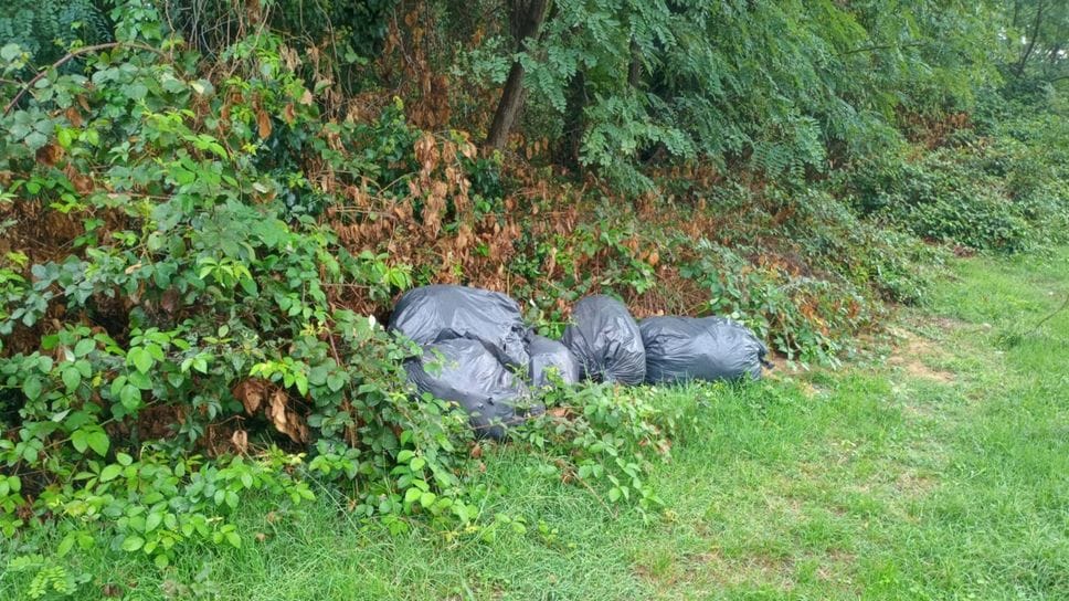 Bregnano, pattugliamenti anti degrado nella zone boschive 