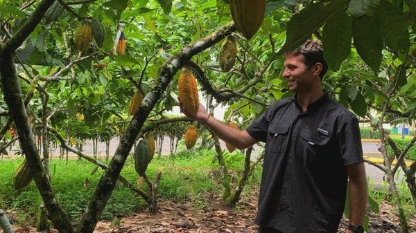 Dal Giovio all’Africa. La rotta di Giulio tra cacao e caffè