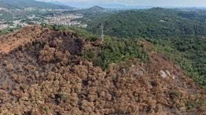 Monte Goj, servono sette milioni per sistemarlo dopo l’incendio
