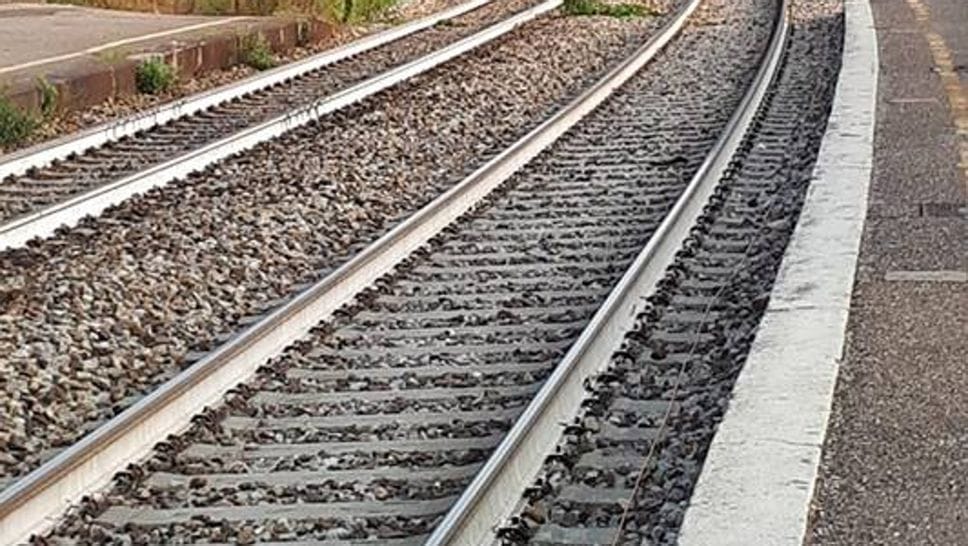 Cucciago, un treno merci investe un grosso cervo